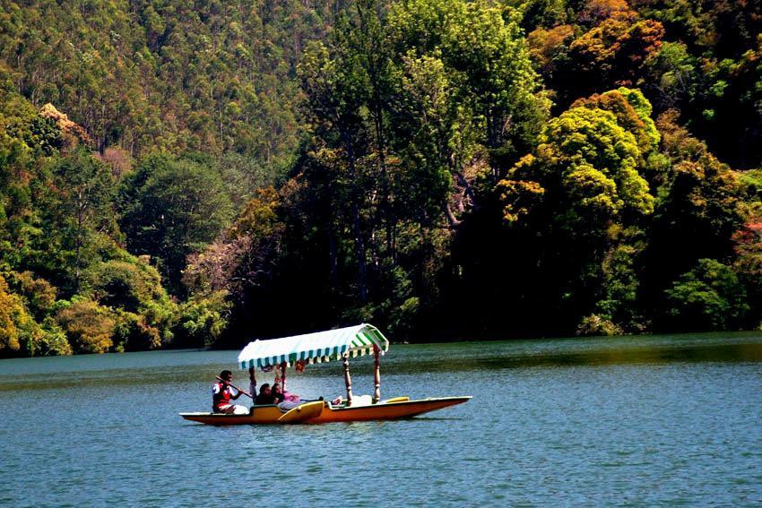 Munnar Dreams Hotel Buitenkant foto
