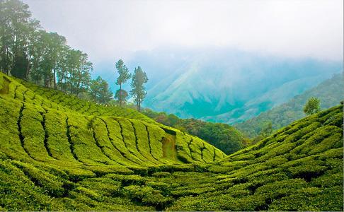 Munnar Dreams Hotel Buitenkant foto