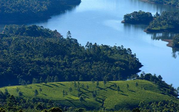 Munnar Dreams Hotel Buitenkant foto