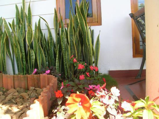 Munnar Dreams Hotel Buitenkant foto